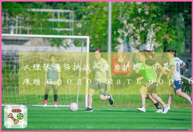 大理队面临挑战，奋力拼搏，不畏艰难 продолжать борьбу