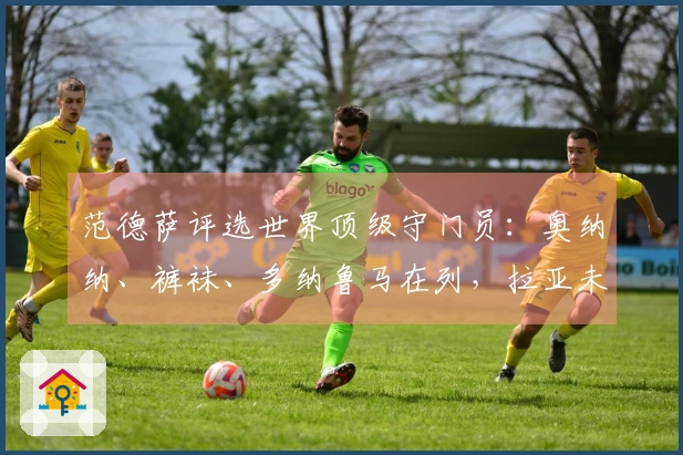 范德萨评选世界顶级守门员：奥纳纳、裤袜、多纳鲁马在列，拉亚未获提名