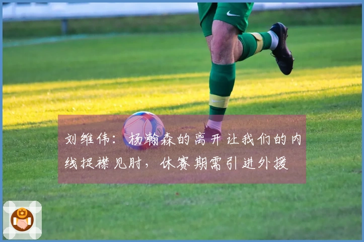刘维伟：杨瀚森的离开让我们的内线捉襟见肘，休赛期需引进外援