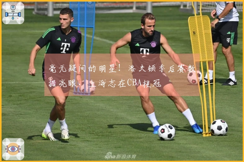 毫无疑问的明星！洛夫顿季后赛数据亮眼，上海志在CBA桂冠